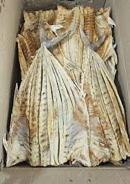 Queen Dried fish- Katta karuvaadu கட்ட கருவாடு