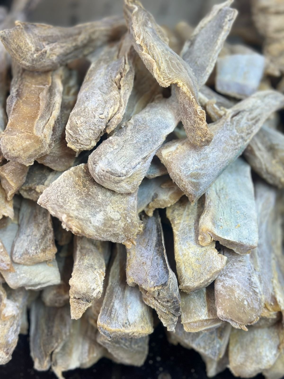 SHARK DRYFISH SURA